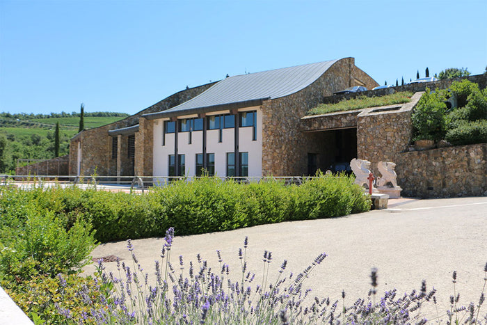 Podere Forte