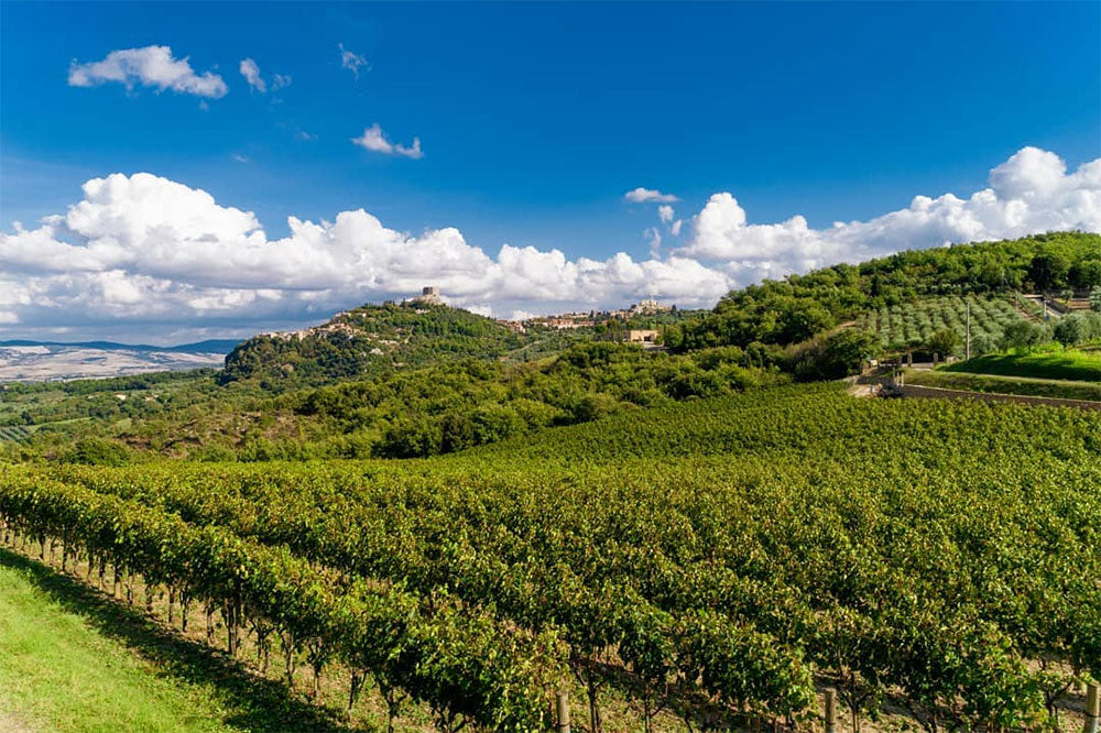 Podere Forte