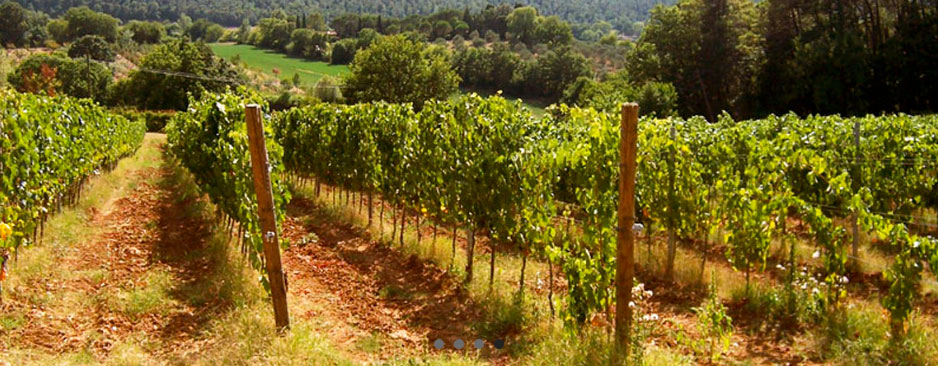 Podere Morazzano