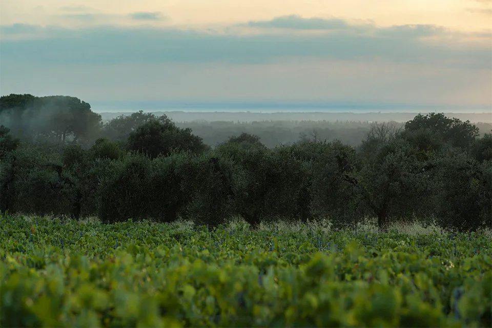Podere Orma (Sette Ponti)