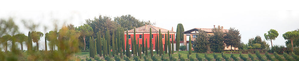 Podere Palazzo