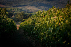 Podere San Cristoforo