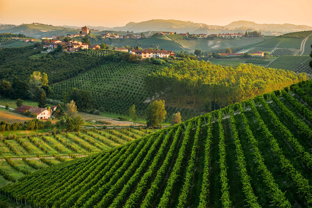 Poderi dei Bricchi Astigiani
