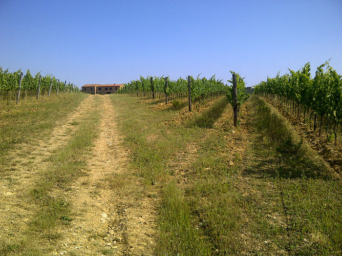 Poderi di Ghiaccioforte