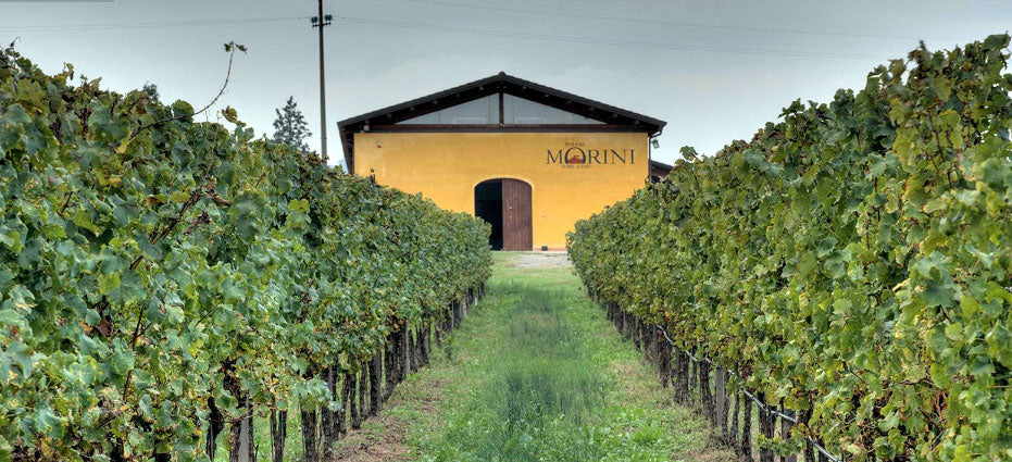 Poderi Morini