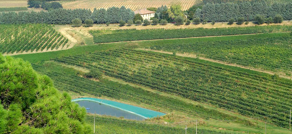 Poderi Morini