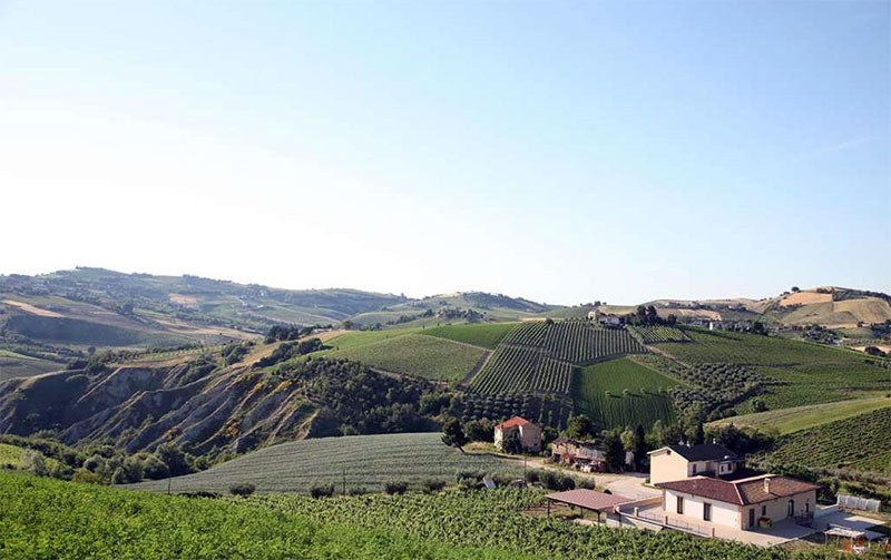Poderi San Lazzaro