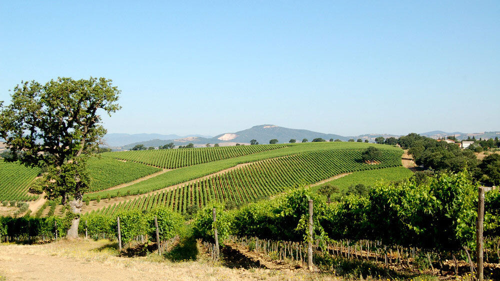 Poggio al Tufo