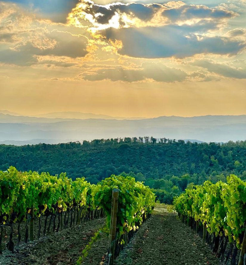 Poggio Antico