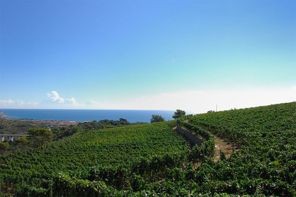 Poggio dei Gorleri