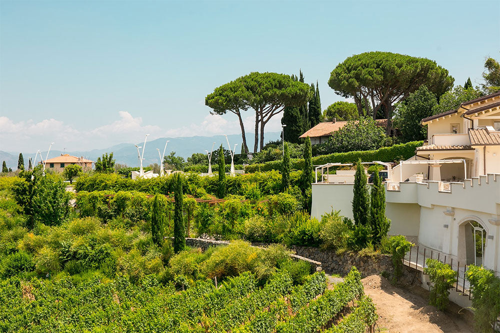 Poggio le Volpi