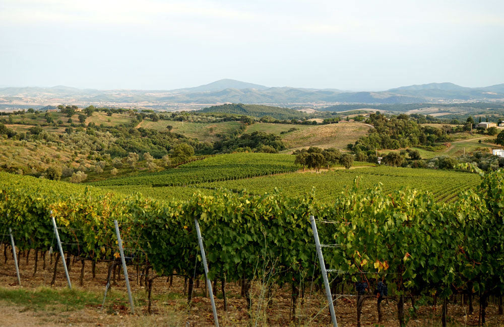 Poggio Nibbiale