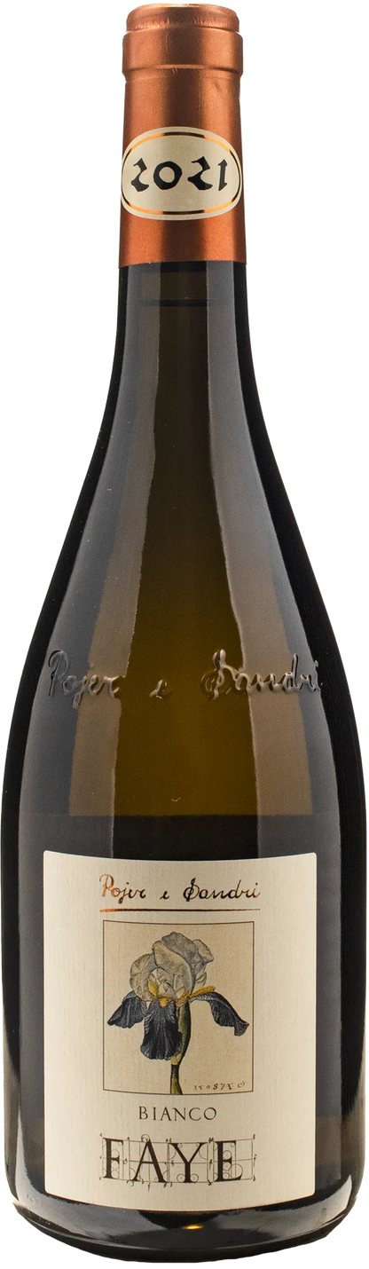 Pojer e Sandri Bianco Faye 2021