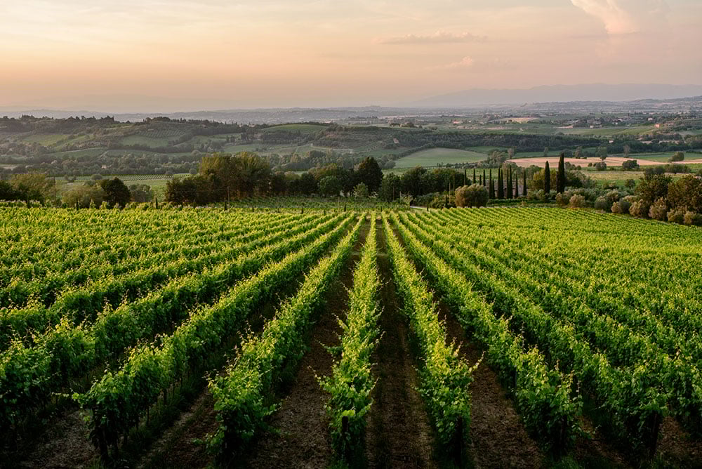 Poliziano