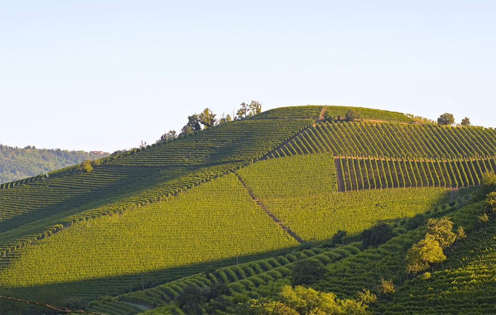 Produttori del Barbaresco