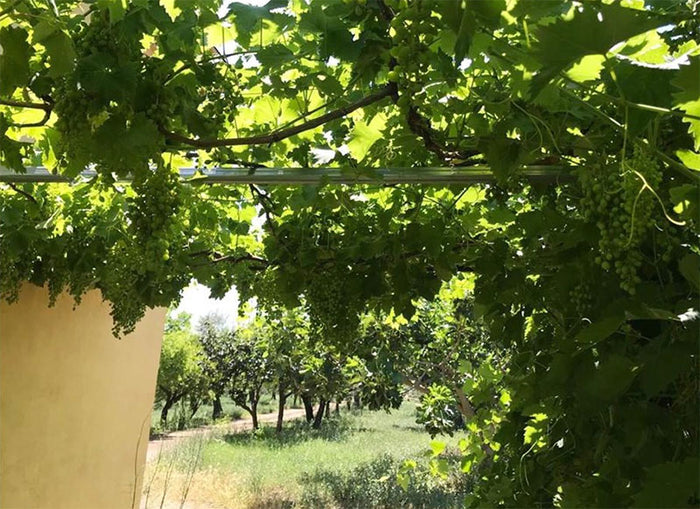 Quarta Generazione