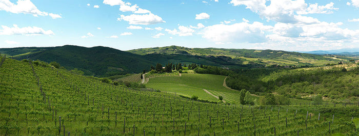 Querciabella