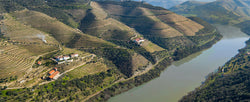 Quinta da Romaneira
