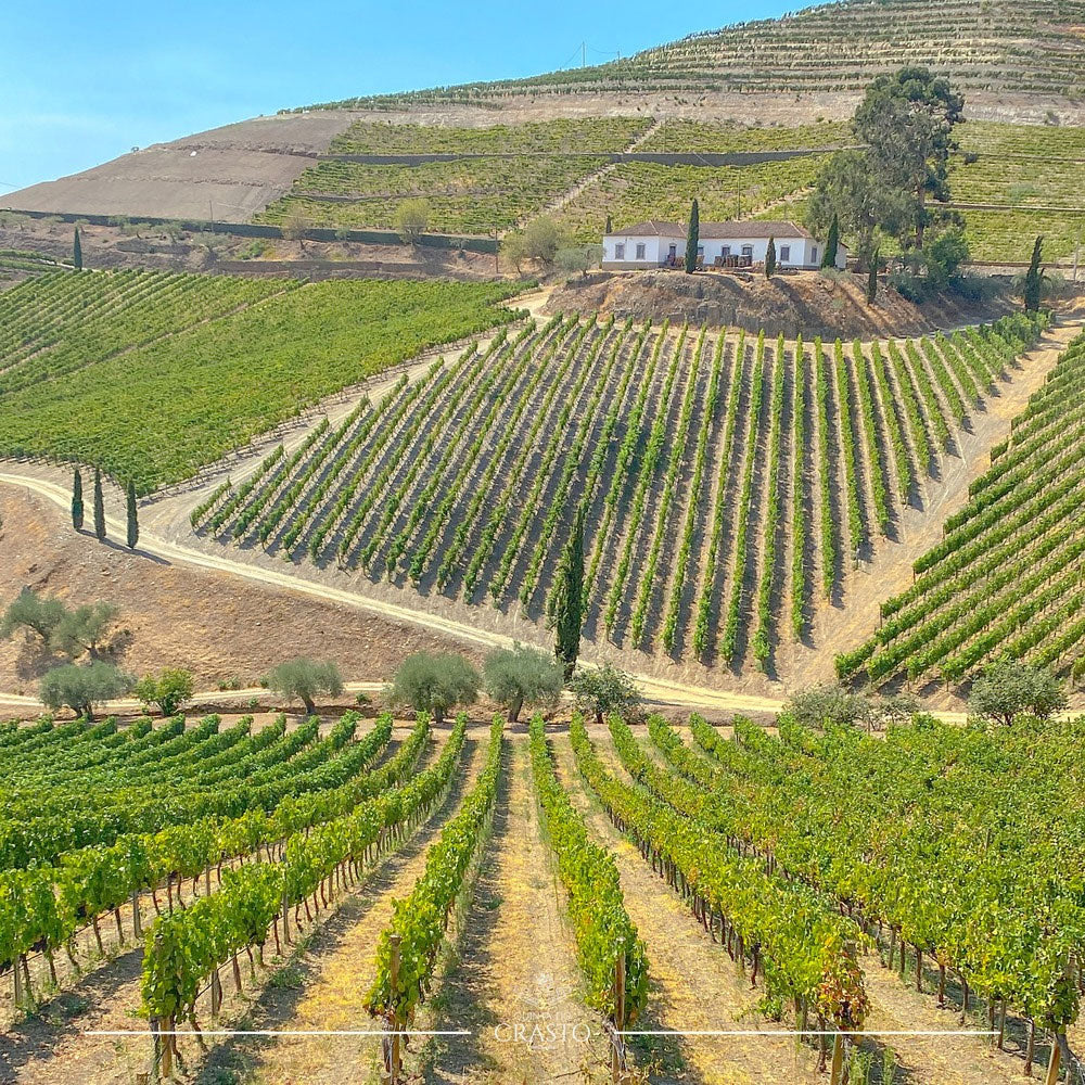 Quinta Do Crasto