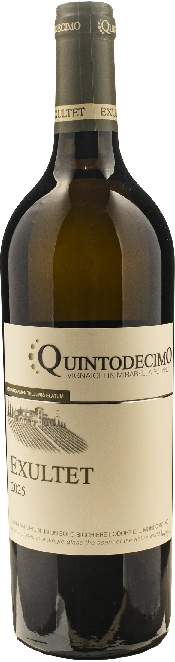 Quintodecimo Fiano di Avellino Exultet 2025