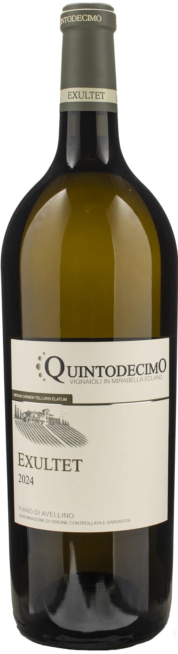 Quintodecimo Fiano di Avellino Exultet Magnum 2024