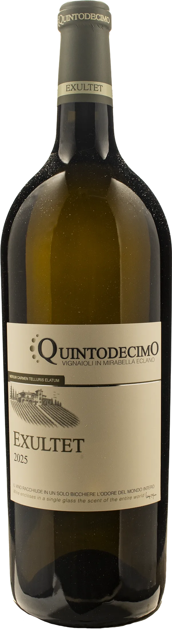Quintodecimo Fiano di Avellino Exultet Magnum 2025