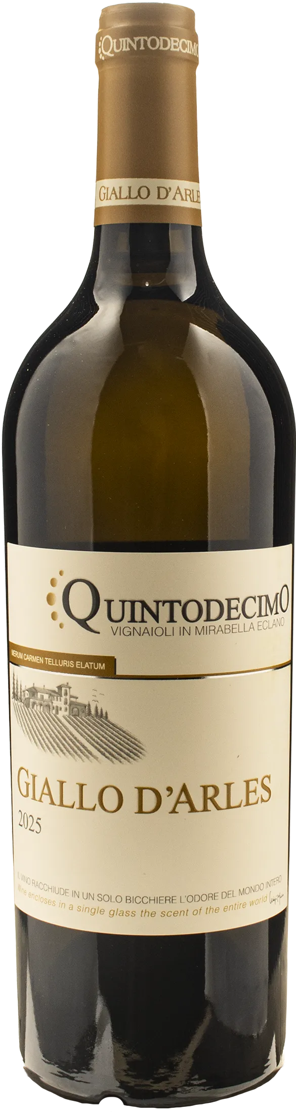 Quintodecimo Greco di Tufo Giallo d'Arles 2025