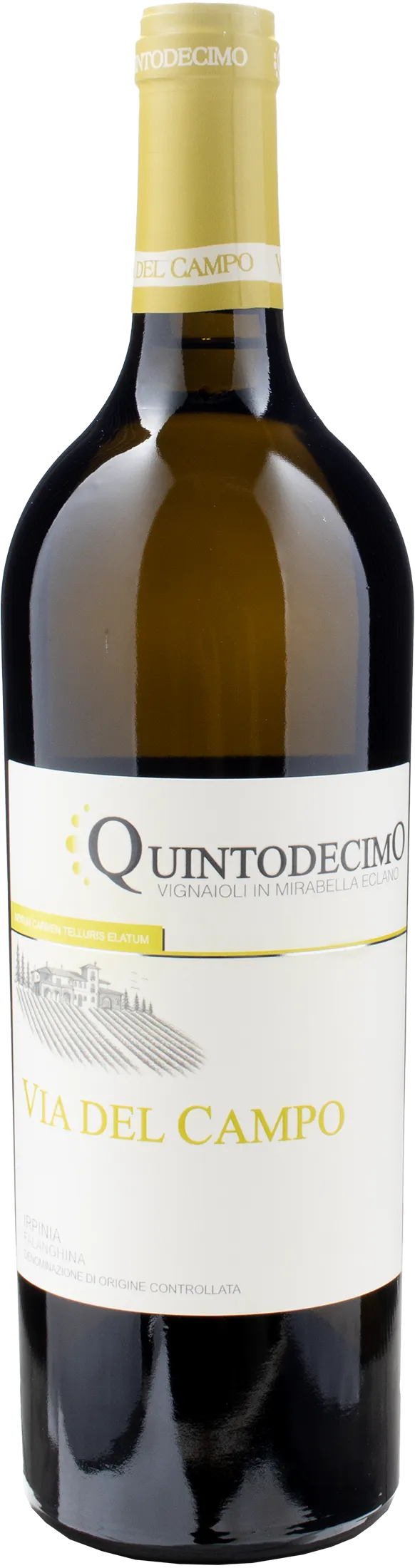 Quintodecimo Irpinia Falanghina Via del Campo Magnum 2023