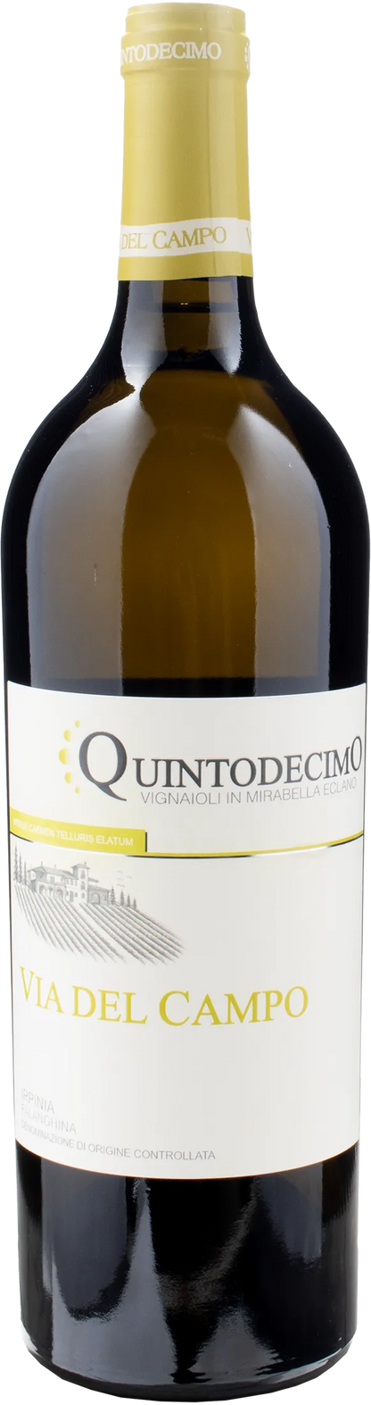Quintodecimo Irpinia Falanghina Via del Campo Magnum 2023