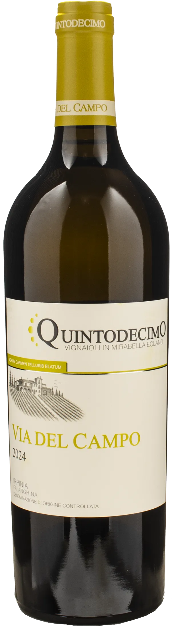 Quintodecimo Irpinia Falanghina Via del Campo 2024