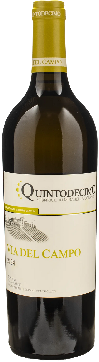 Quintodecimo Irpinia Falanghina Via del Campo 2024
