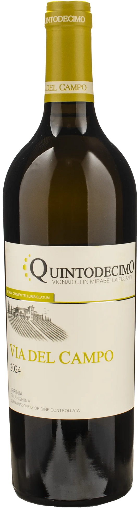 Quintodecimo Irpinia Falanghina Via del Campo 2024