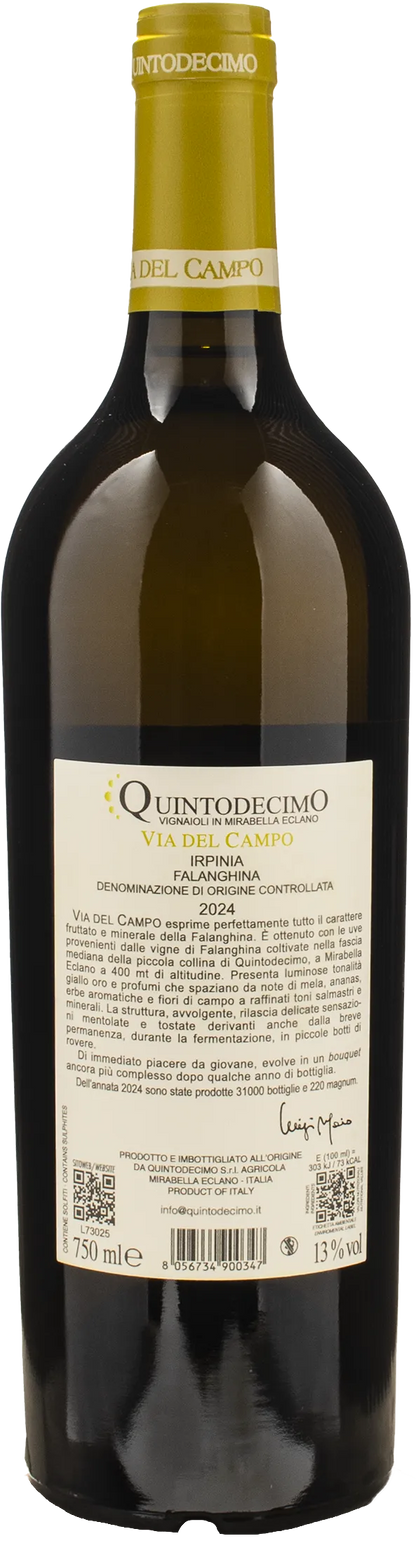 Quintodecimo Irpinia Falanghina Via del Campo 2024