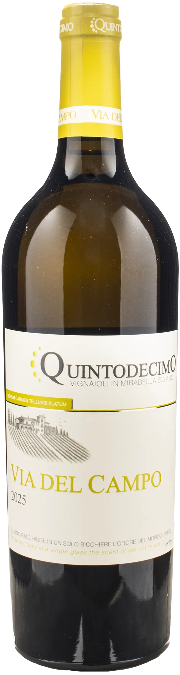 Quintodecimo Irpinia Falanghina Via del Campo 2025