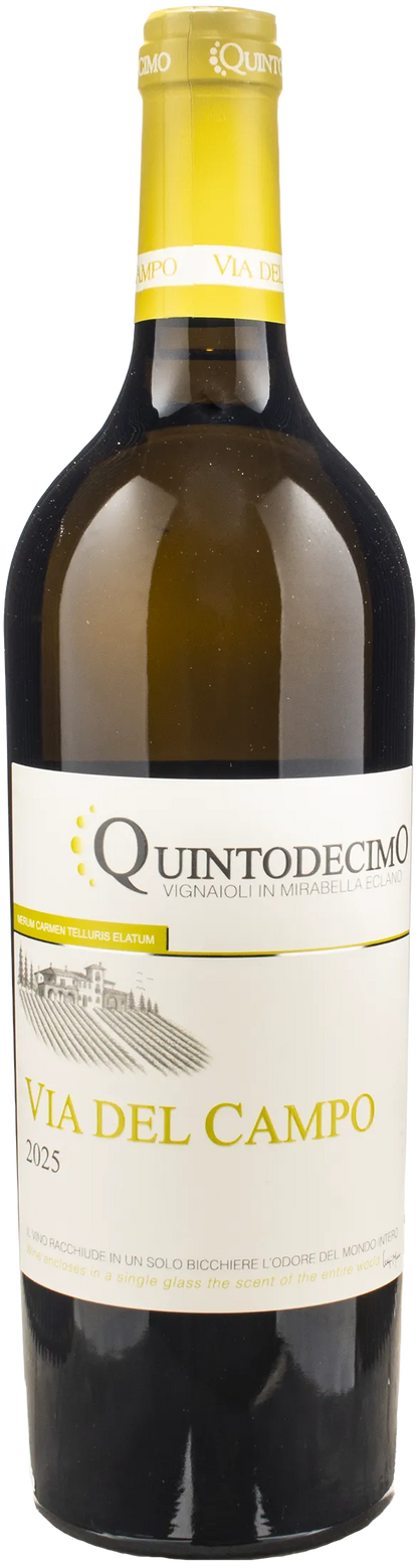 Quintodecimo Irpinia Falanghina Via del Campo 2025
