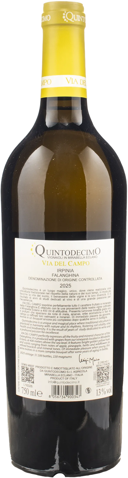 Quintodecimo Irpinia Falanghina Via del Campo 2025