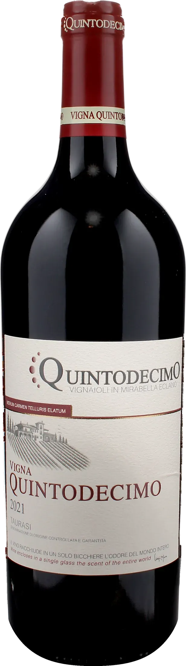 Quintodecimo Taurasi Vigna Quintodecimo 2021