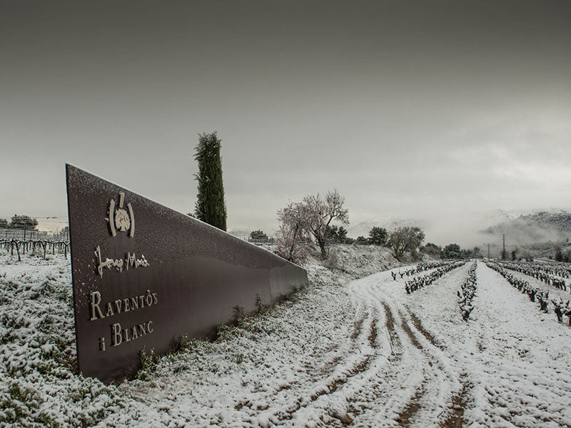 Raventos i Blanc