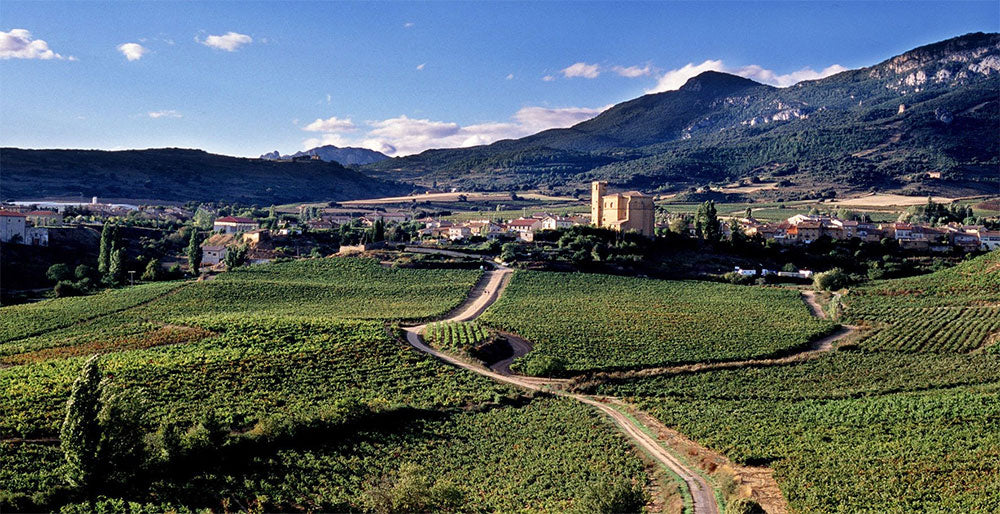 Remirez de Ganuza
