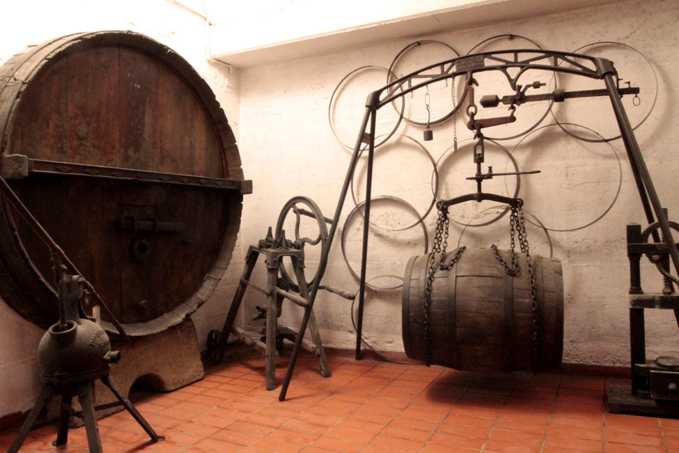 Ricci Curbastro Azienda Agricola