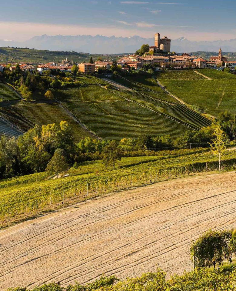 Rivetto