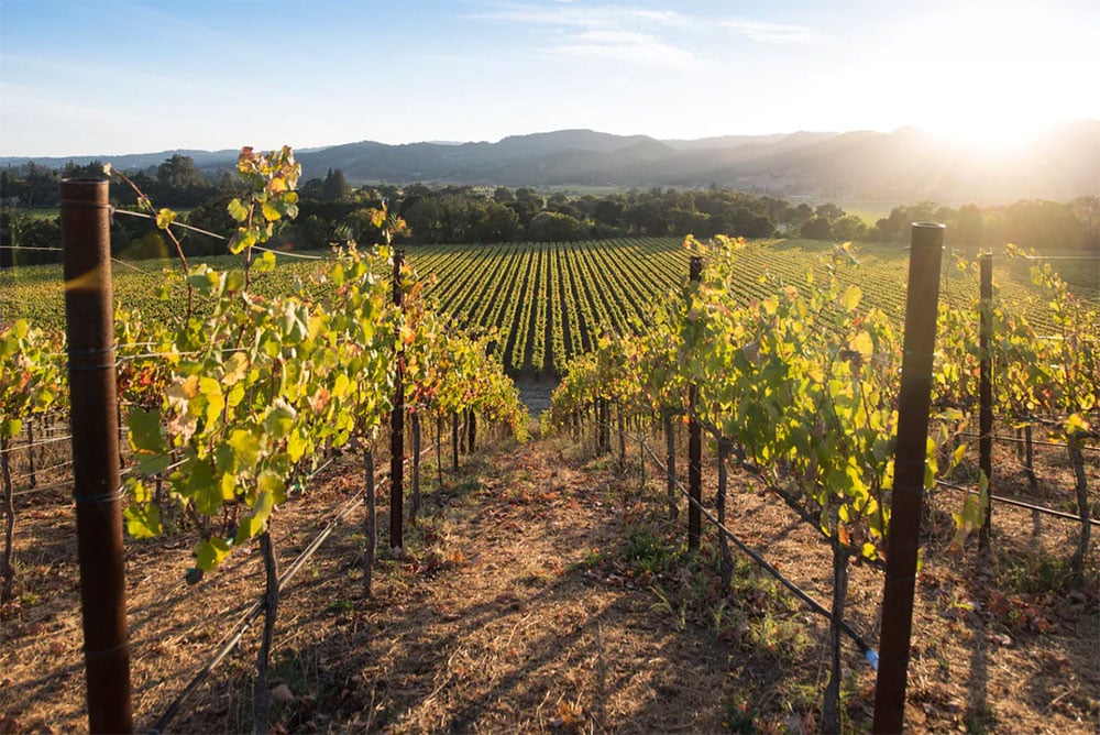 Robert Mondavi Private Selection