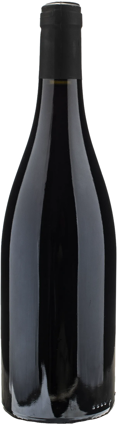 Robinot L'Ange Vin Regard du Loire Pineau d'Aunis