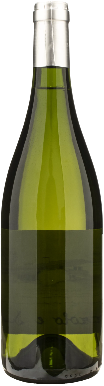 Ronco del Gnemiz Sauvignon Blanc Serena Palazzolo e Figli 2024