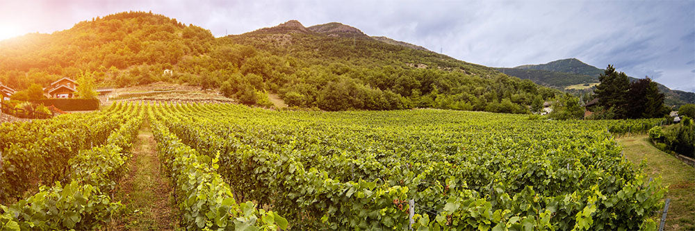 Rosset Terroir
