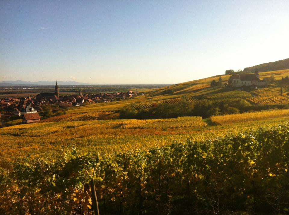 Ruhlmann-Dirringer