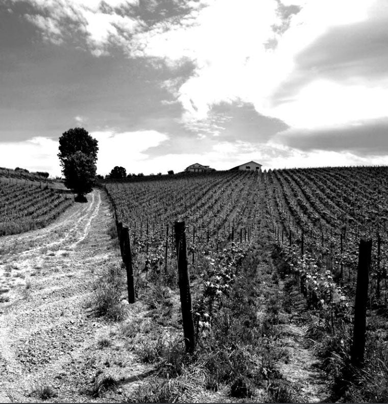 San Valentino Azienda Agricola