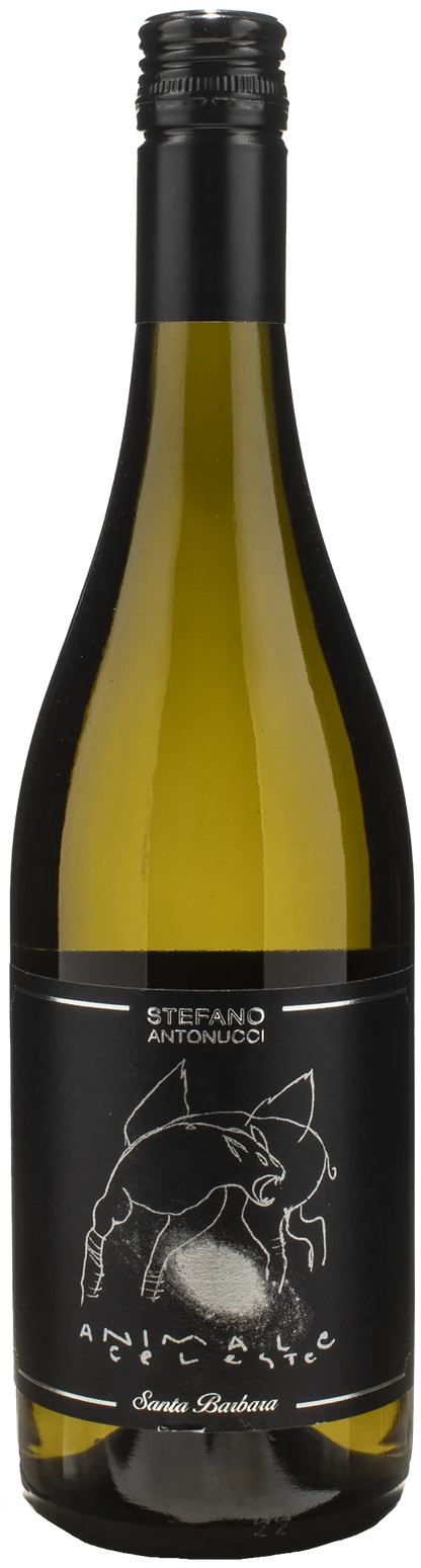 Santa Barbara Animale Celeste Sauvignon 2024