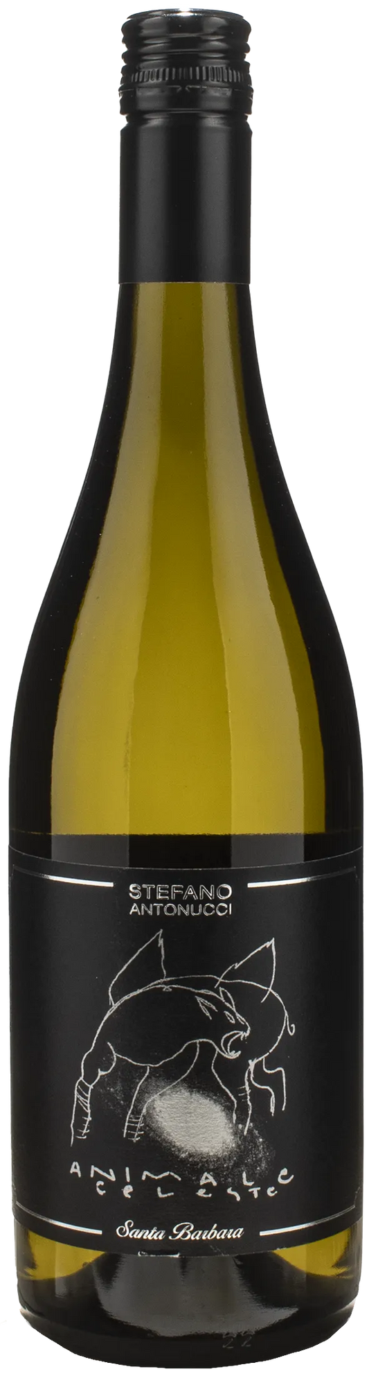 Santa Barbara Animale Celeste Sauvignon 2024