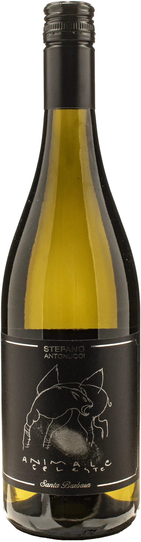 Santa Barbara Animale Celeste Sauvignon 2025